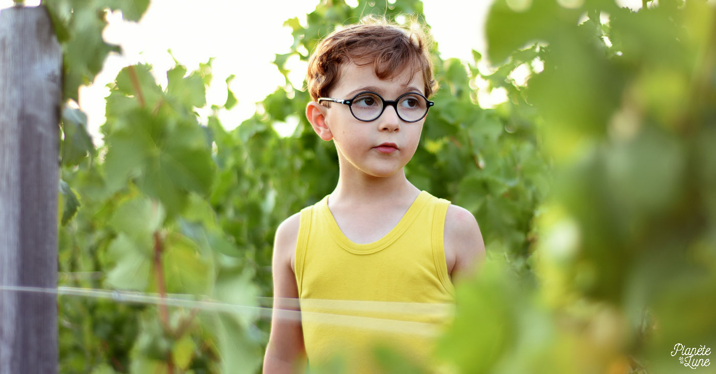 Photographe Bourges - Un soir dans les vignes