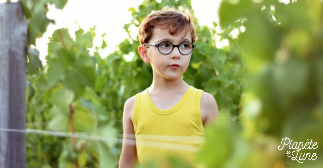Un soir dans les vignes